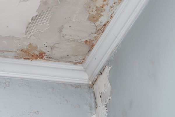 Water Damage Repairs