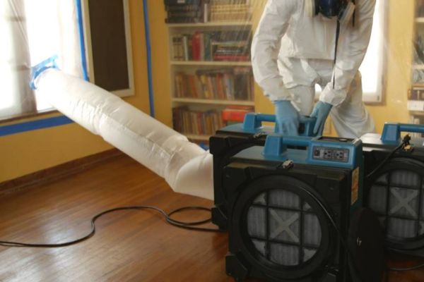 Mold Removal