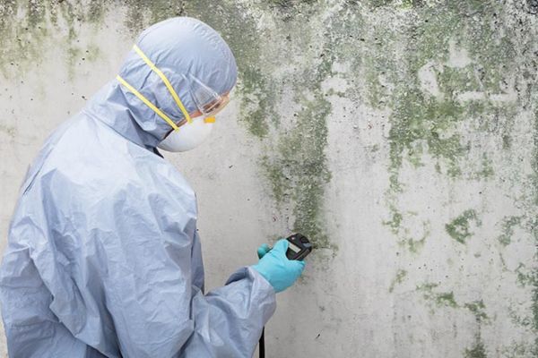 Mold Damage Testing